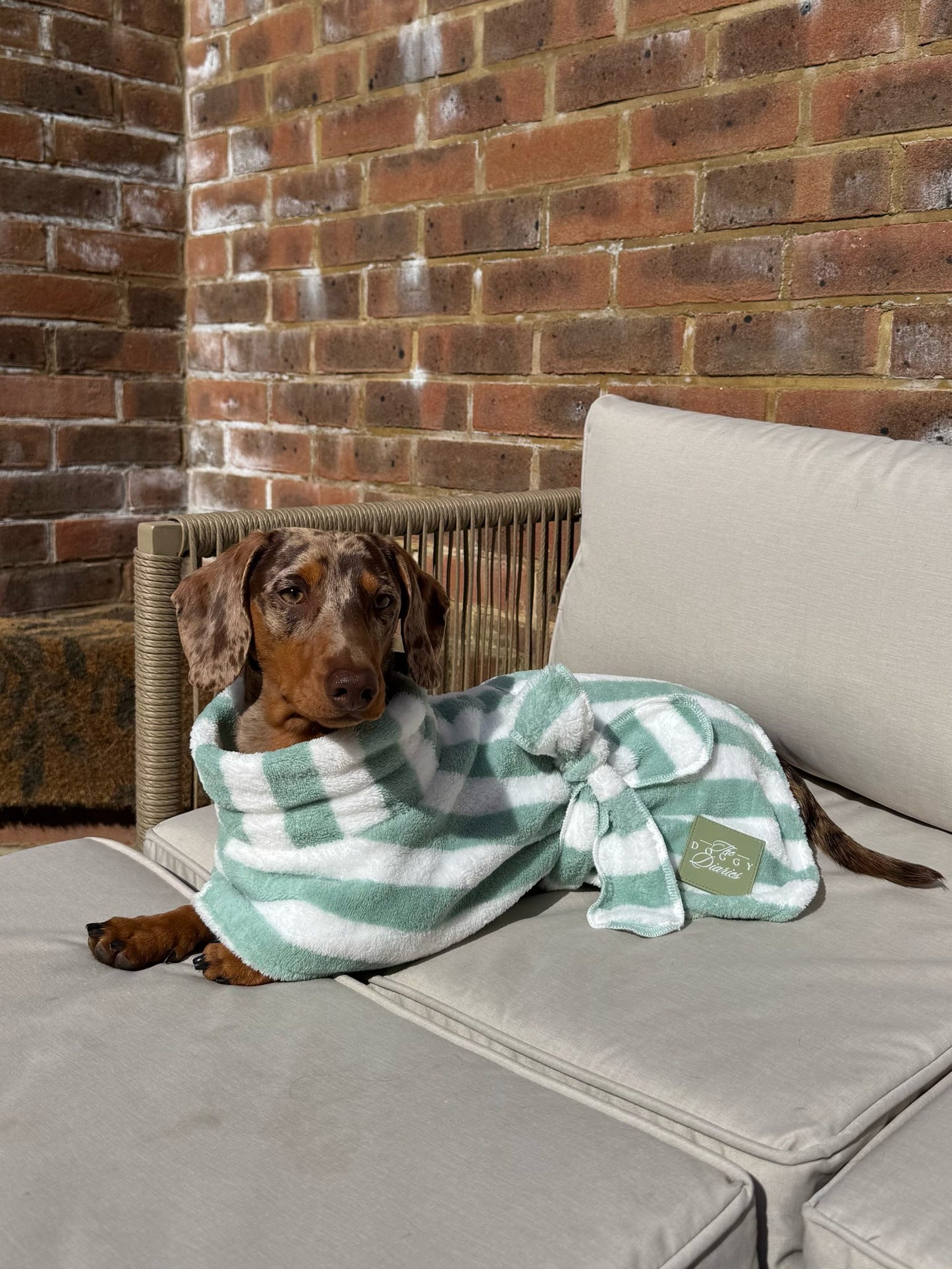 The Beach Club Dog Robe