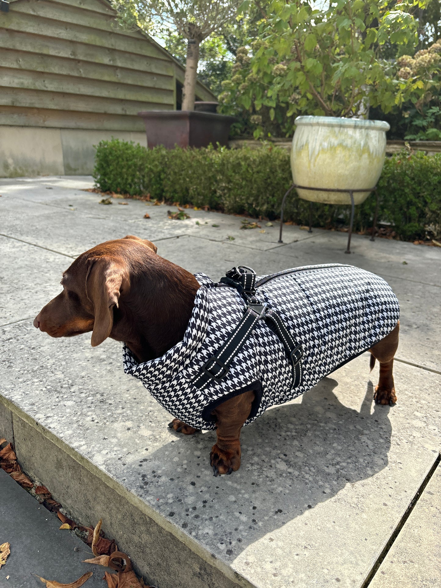 Monochrome Houndstooth Harness Coat