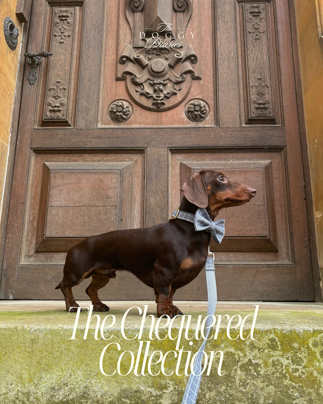 The Chequered Collection