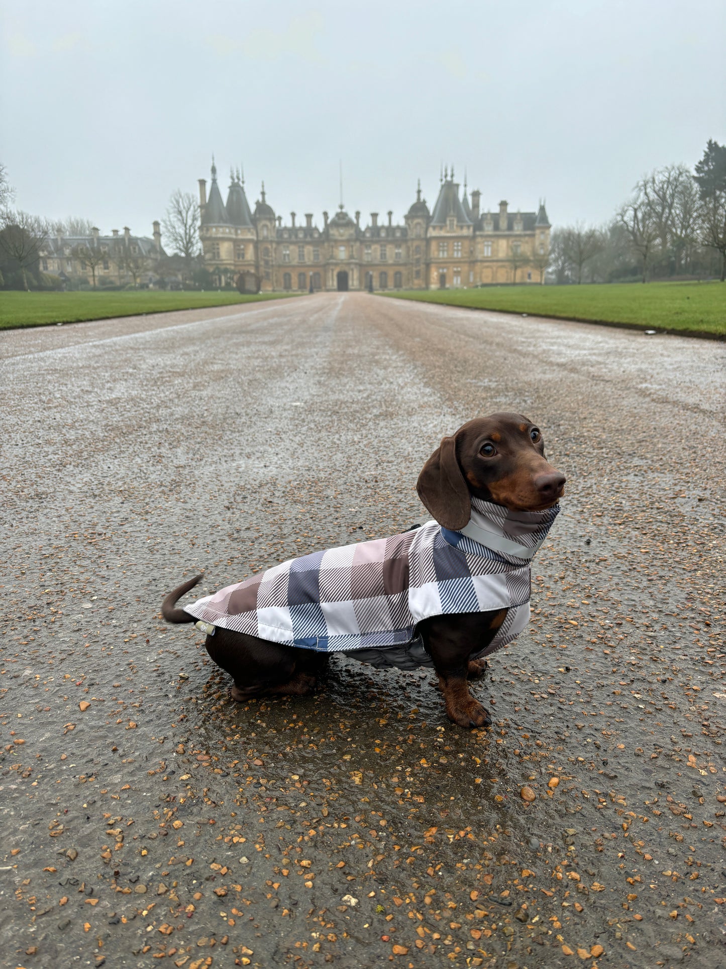 Heritage Gingham Raincoat