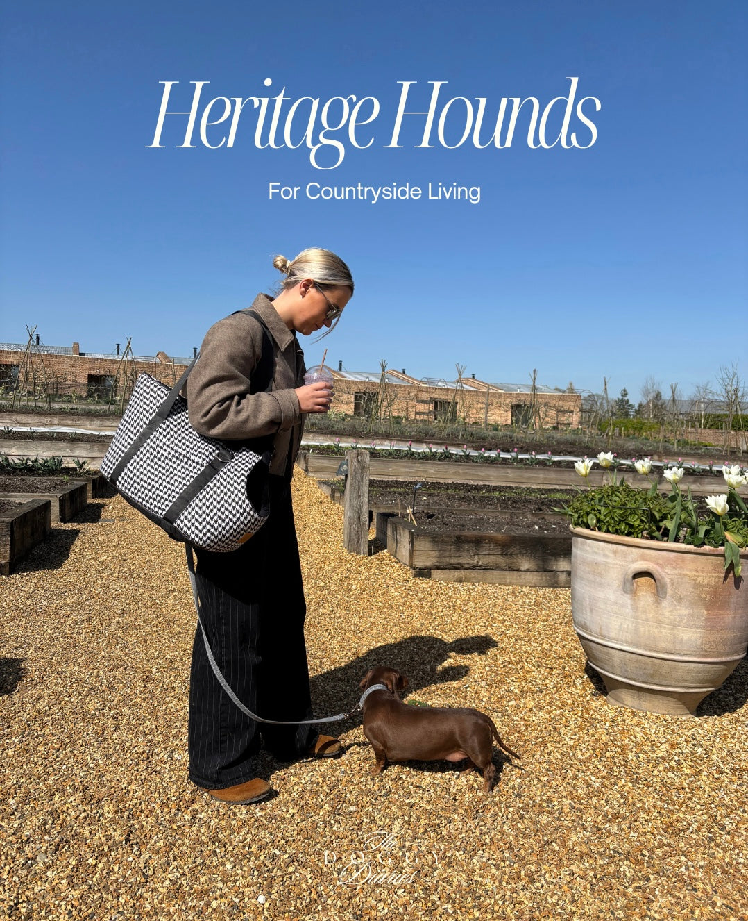 Limited Edition Heritage Hounds Dachshund Carrier