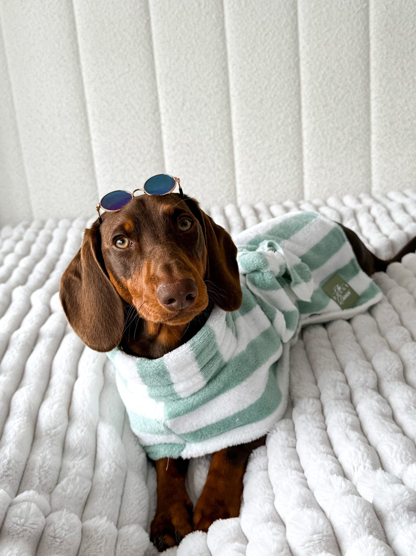 The Beach Club Dog Robe