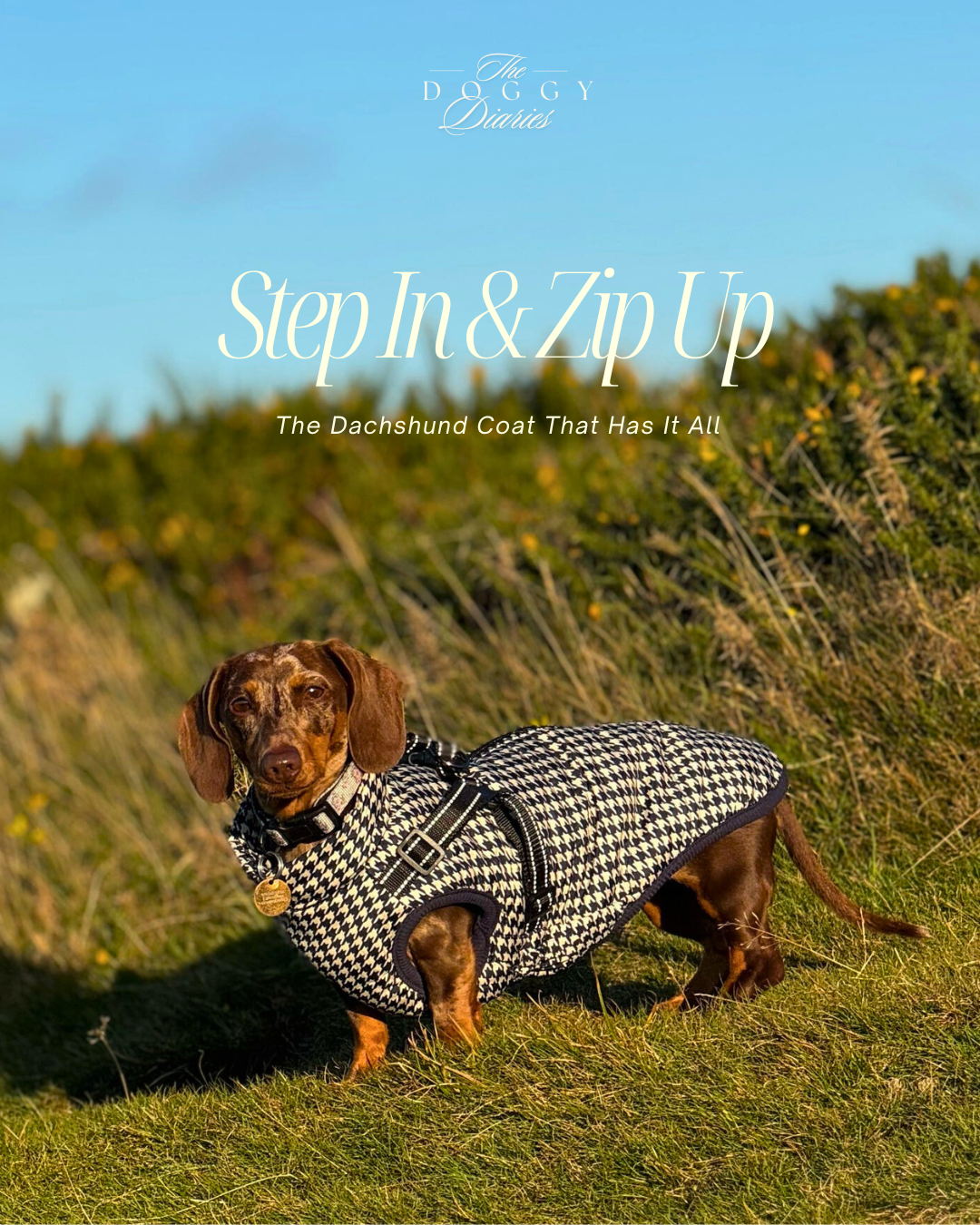 Navy & Cream Houndstooth Harness Coat