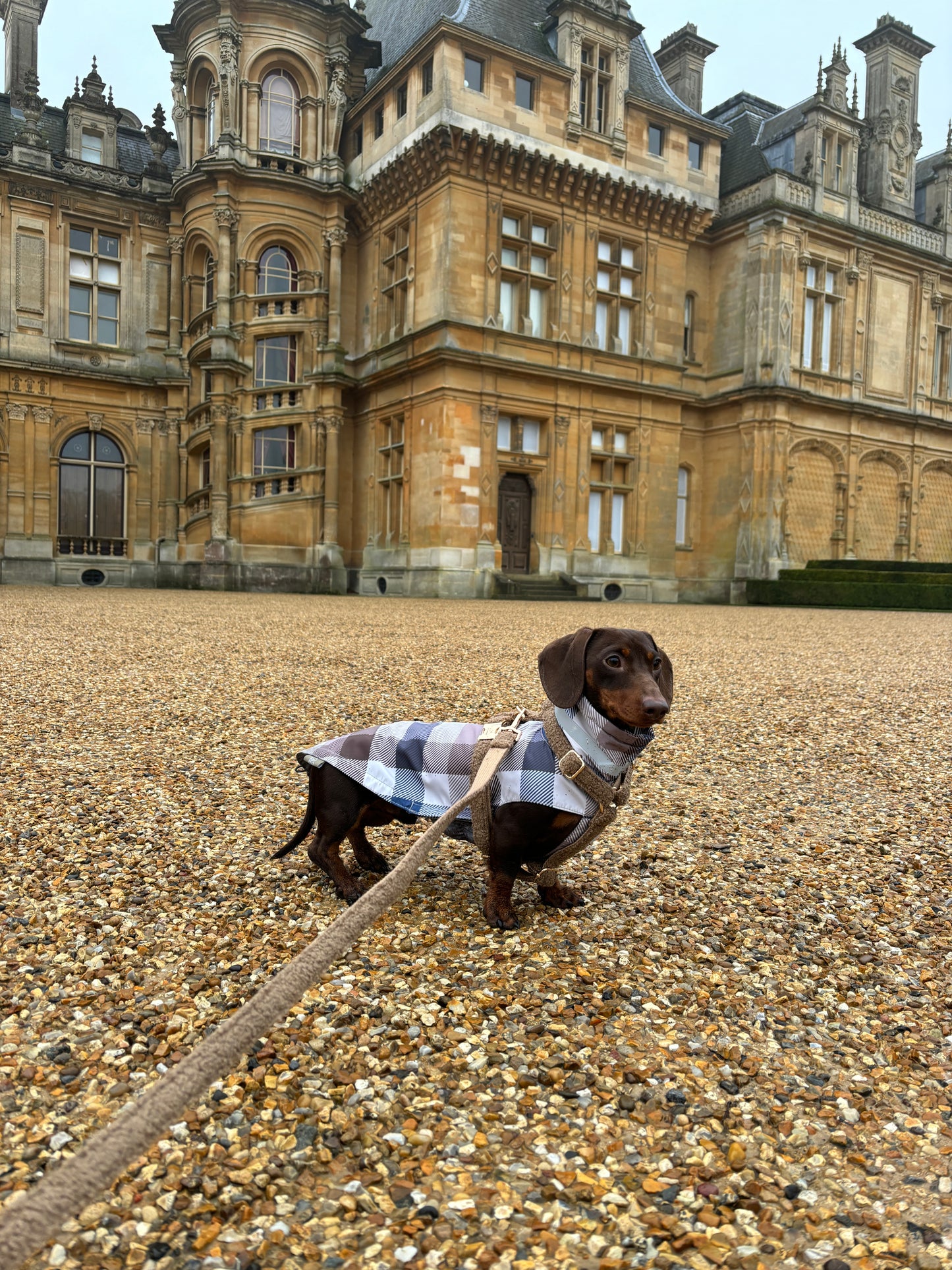 Heritage Gingham Raincoat