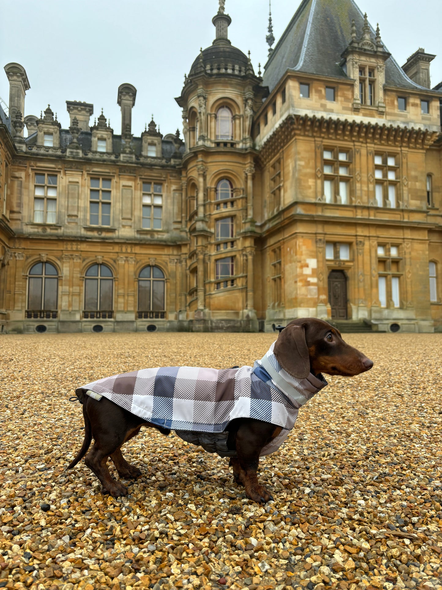 Heritage Gingham Raincoat