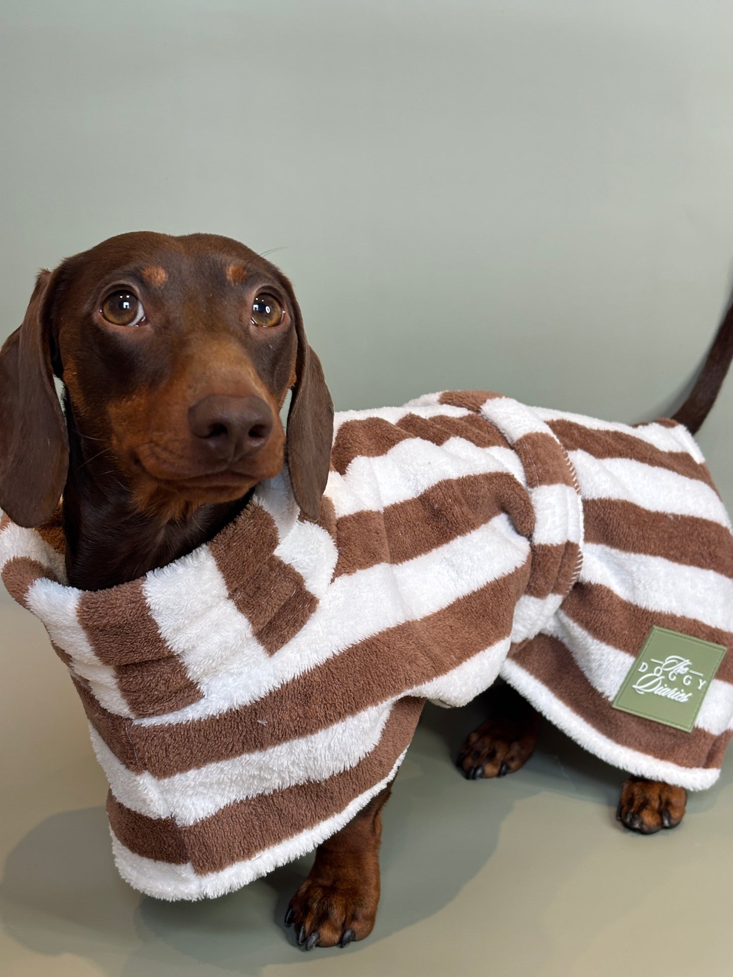The Beach Club Dog Robe