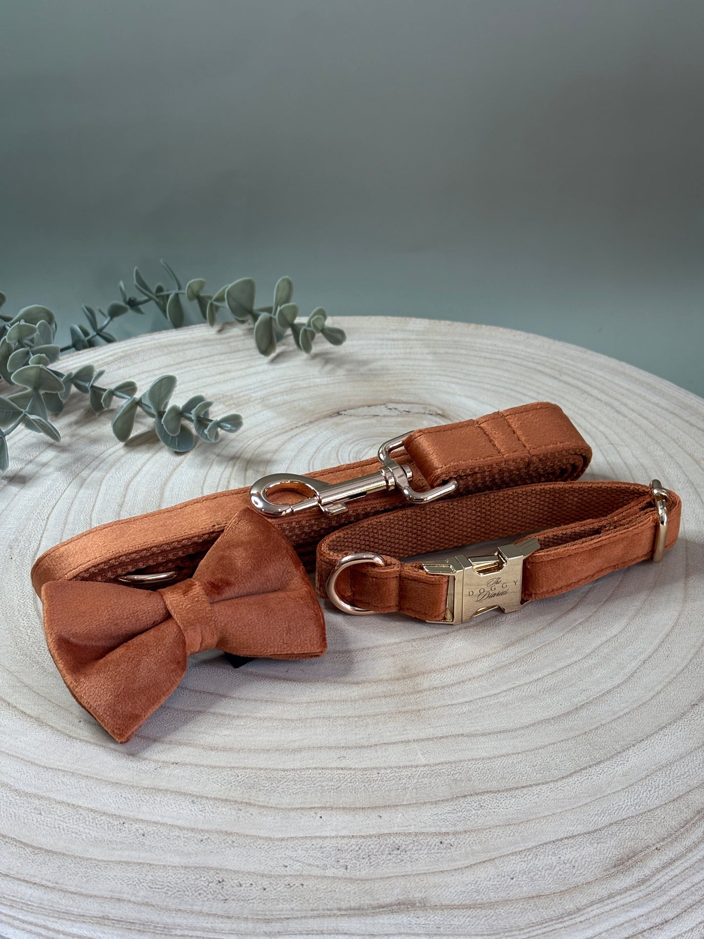 Rust Velvet Collar