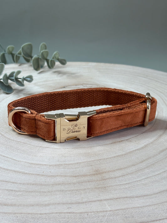 Rust Velvet Collar