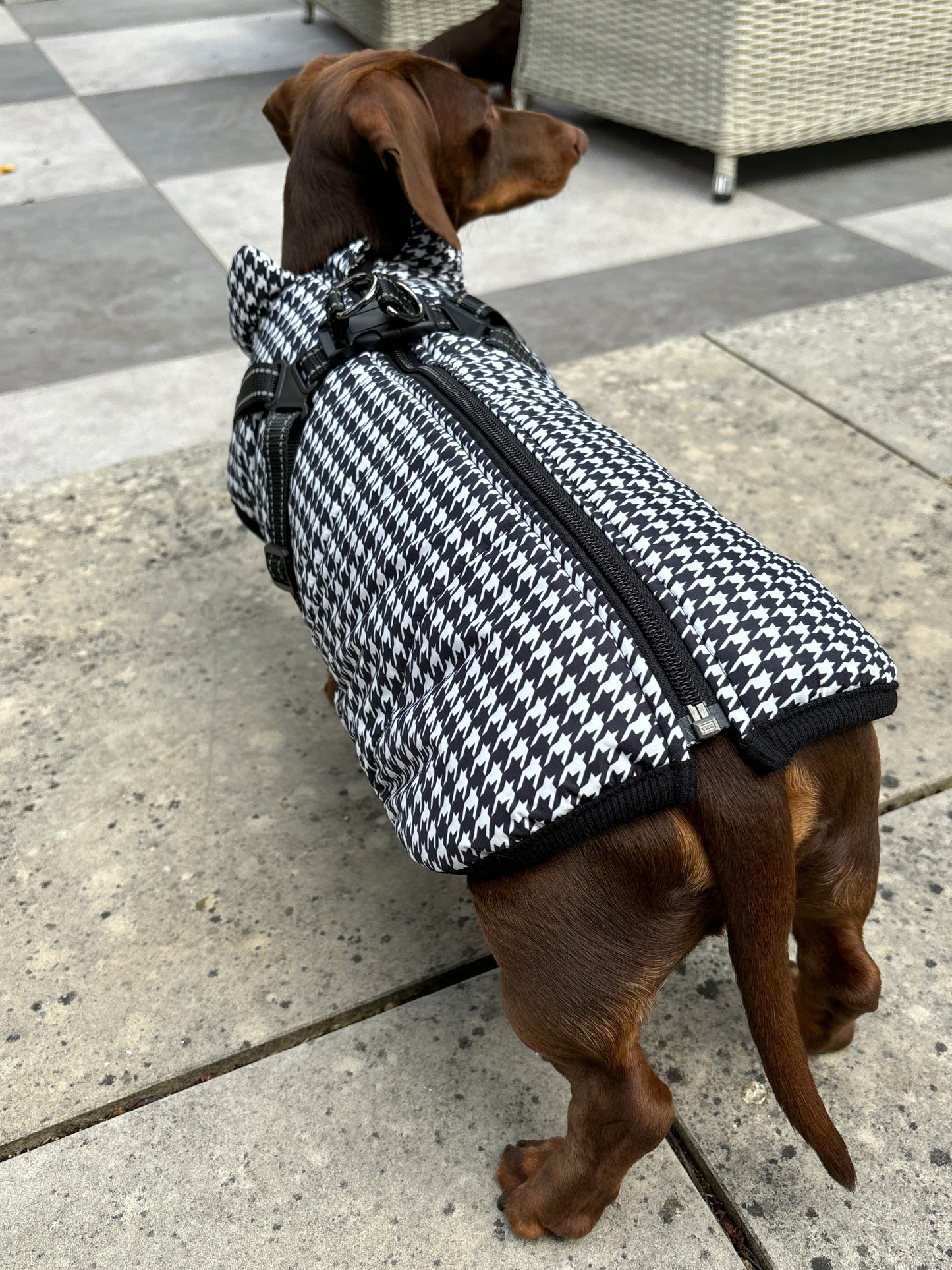 Monochrome Houndstooth Harness Coat