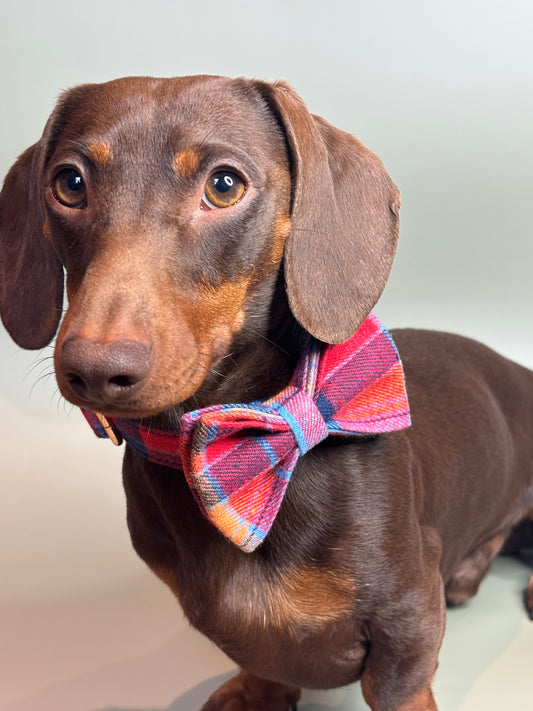 Summer Plaid Bow
