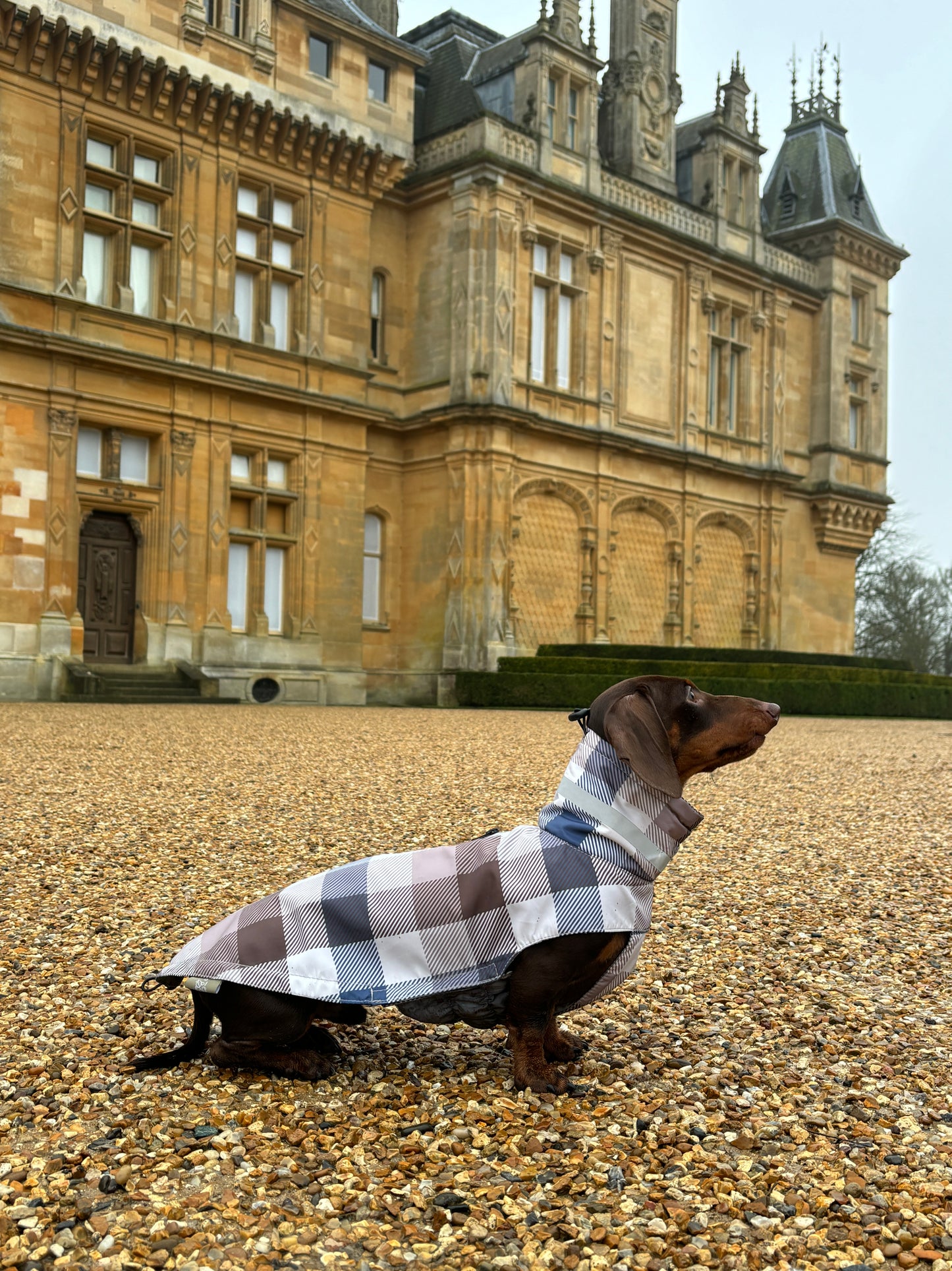 Heritage Gingham Raincoat