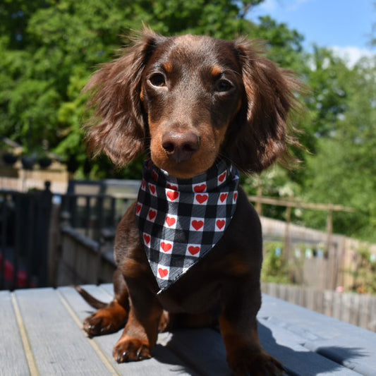 Gingham Hearts Bandana