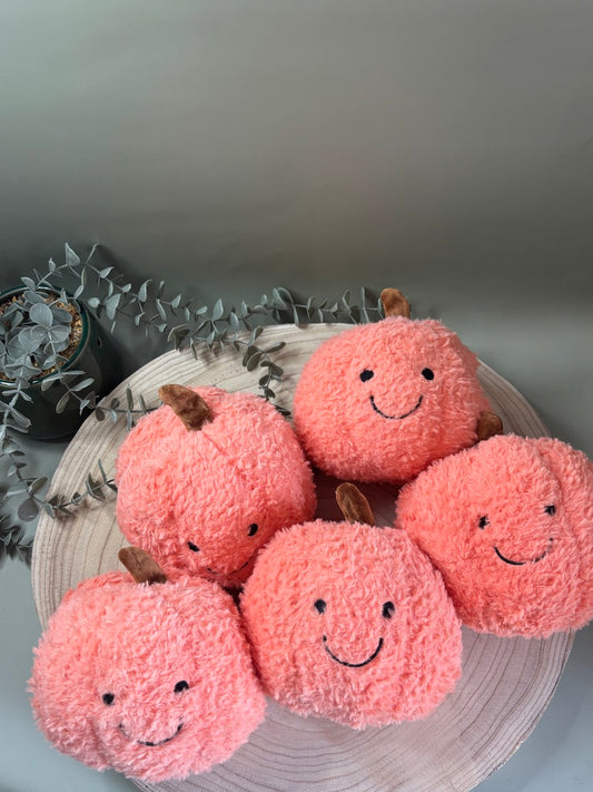 Large Pumpkin Plush Toy (No Squeak)