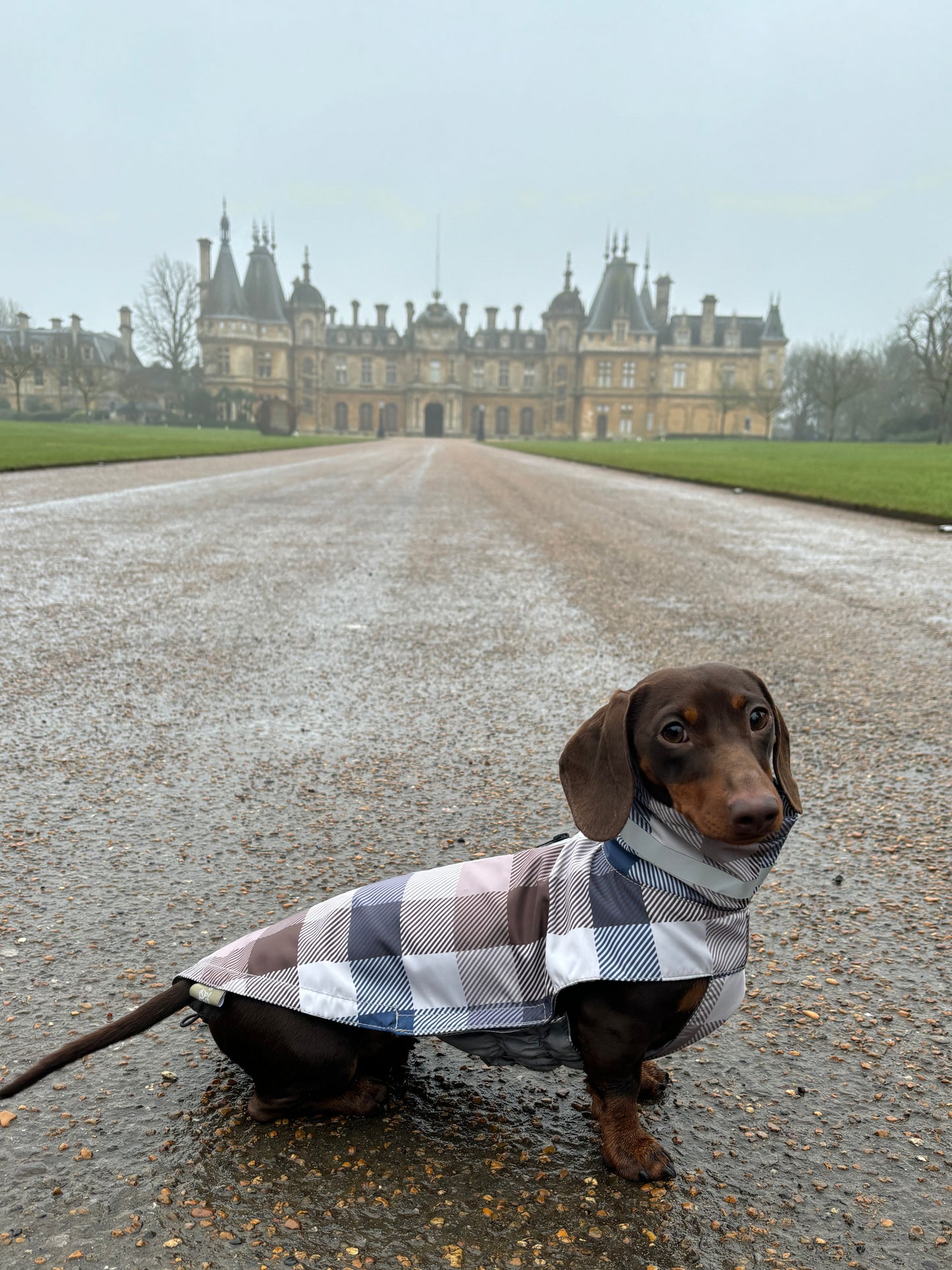 Heritage Gingham Raincoat
