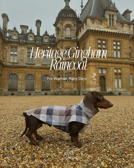 Heritage Gingham Raincoat