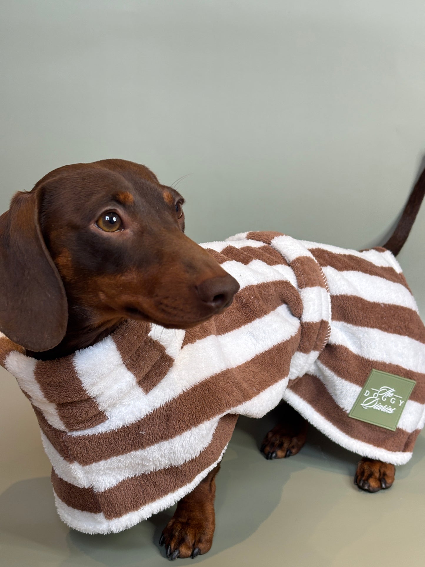 The Beach Club Dog Robe