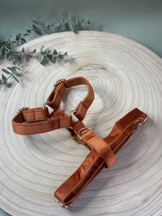 Rust Velvet Fully Adjustable Harness