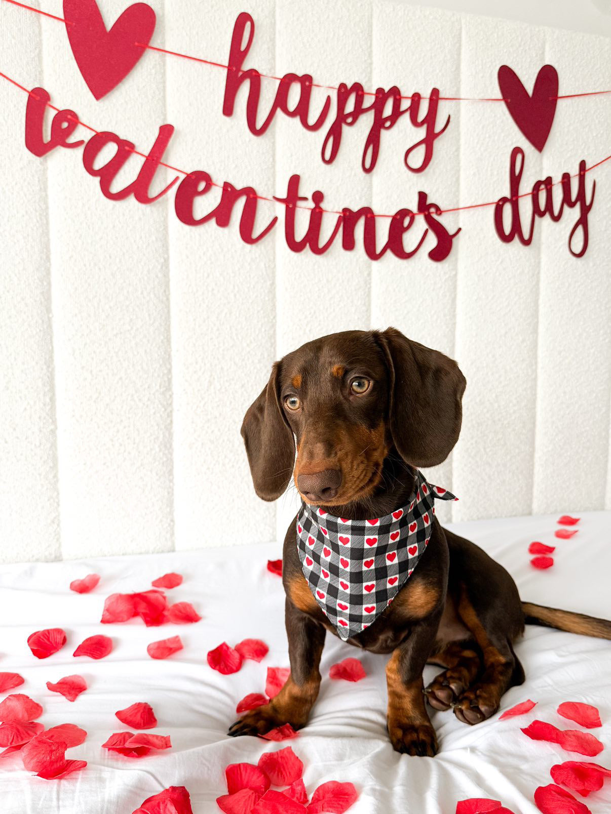 Gingham Hearts Bandana