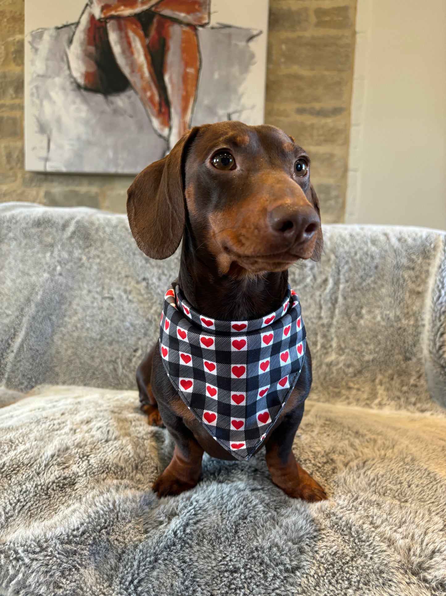 Gingham Hearts Bandana