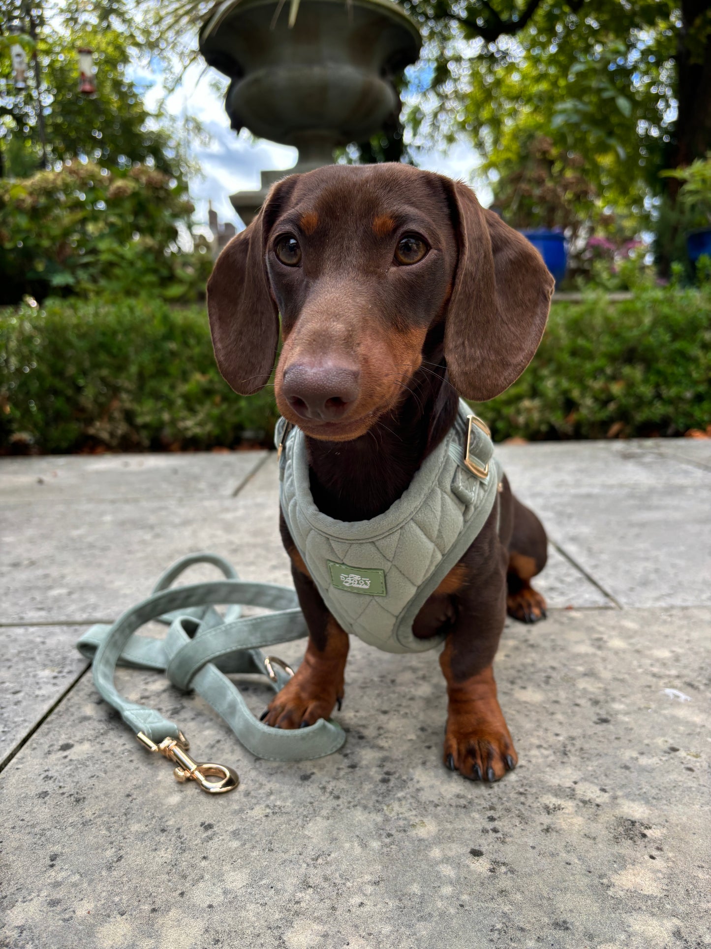 Sage Quilted Velvet Harness