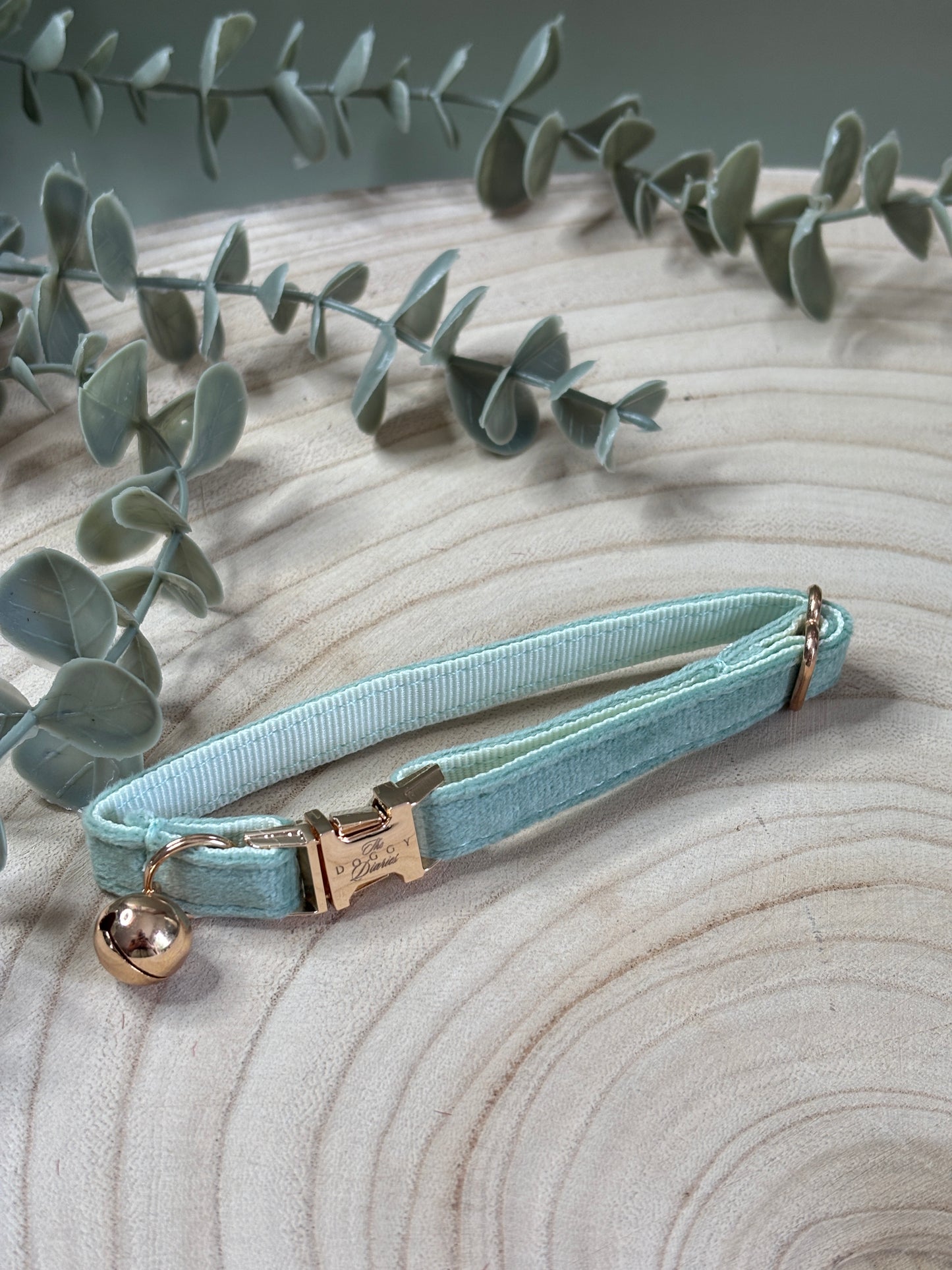 Puppy Velvet Collar