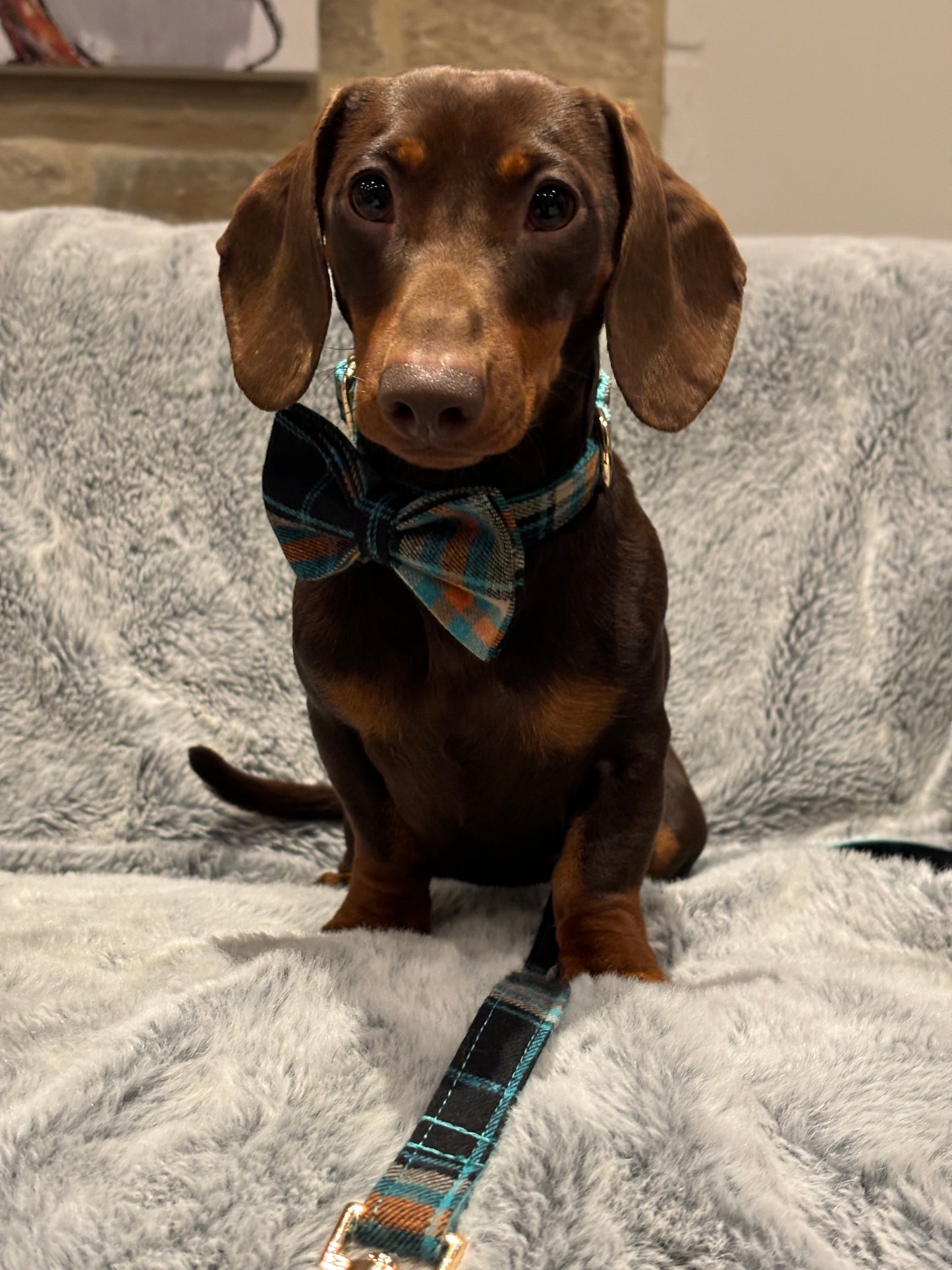 Original Plaid Bow