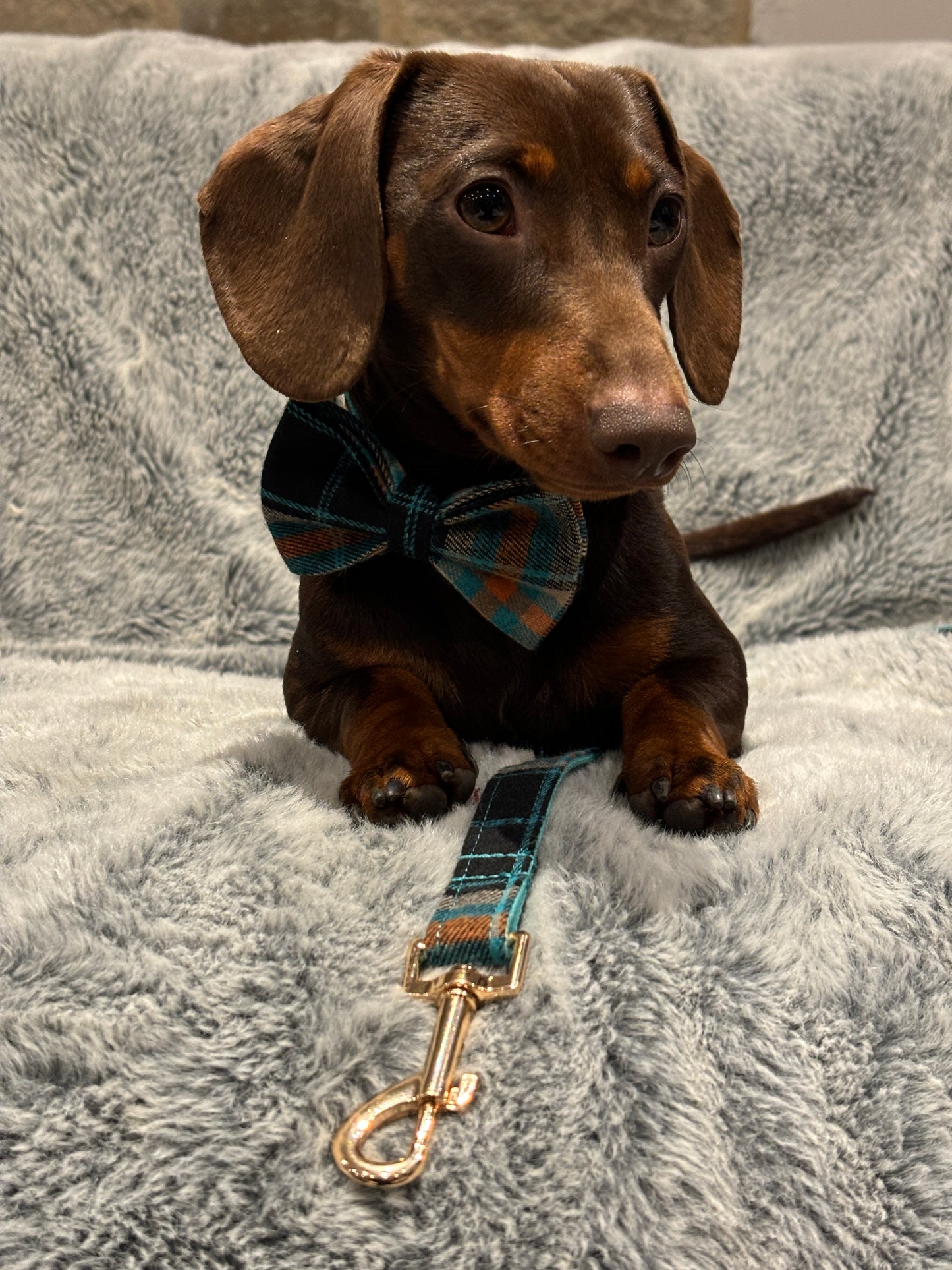 Original Plaid Lead