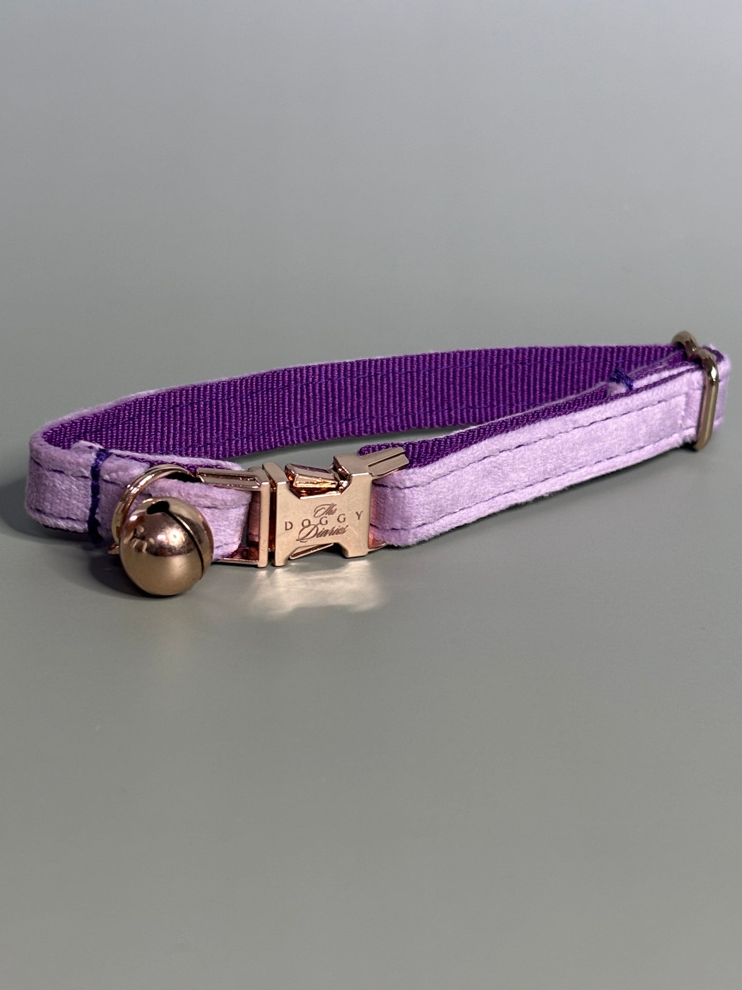 Puppy Velvet Collar